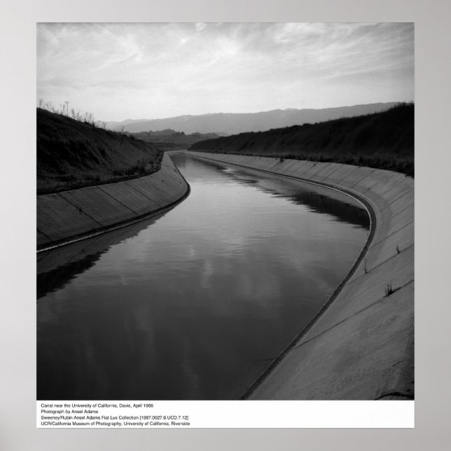 Póster Canal cerca de UC Davis, 1966 (Frente)