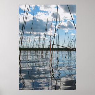 Póster Cañas en el lago Rice - Península Superior