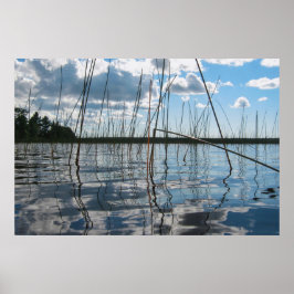 Póster Cañas y reflejos en el lago Rice