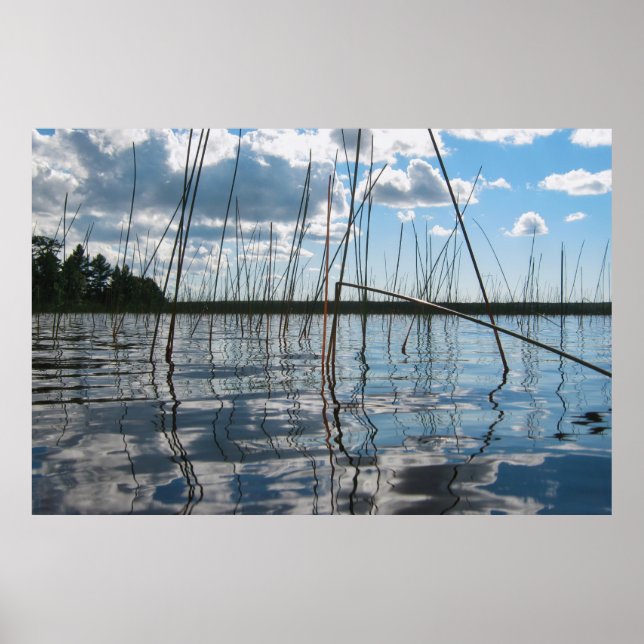 Póster Cañas y reflejos en el lago Rice (Frente)