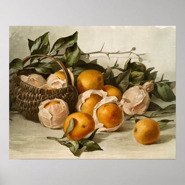 Póster Canasta de Naranjas (Frente)