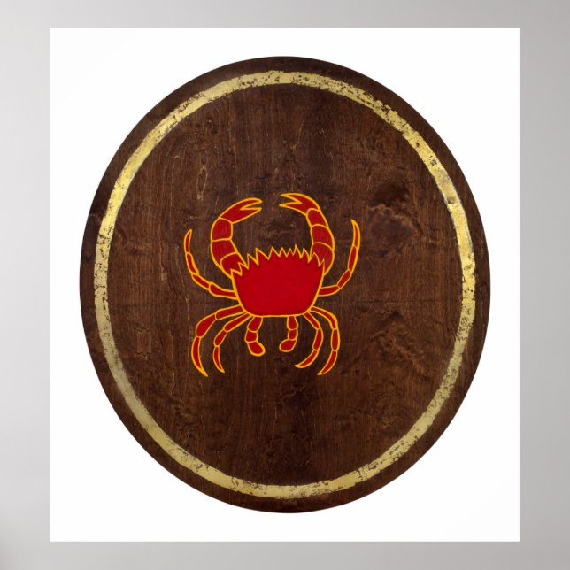 Póster Cáncer 2009 (Frente)