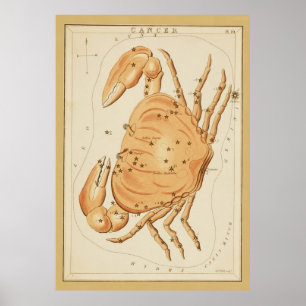 Póster Cáncer el cangrejo - Rótulo vintage de la imagen z
