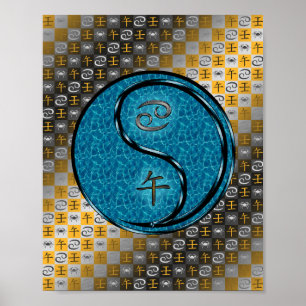 Póster Cáncer y caballo de agua