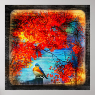 Póster Canción Bluebirds, poster