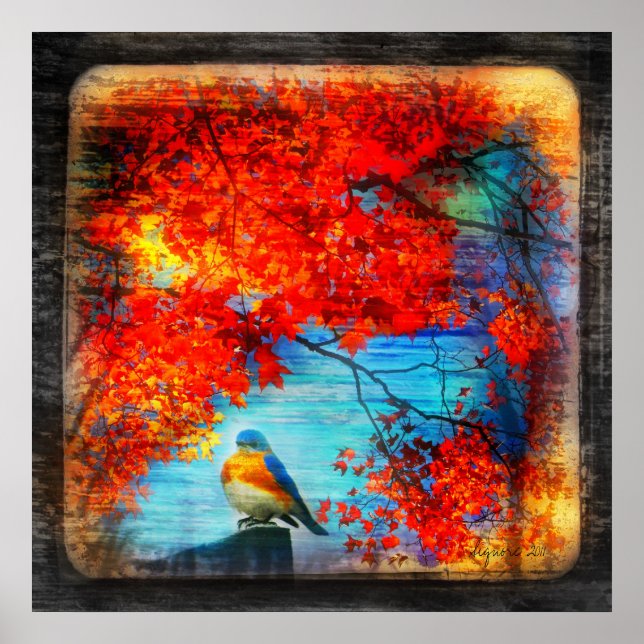 Póster Canción Bluebirds, poster (Frente)