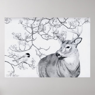 Póster Canción de Chickadee