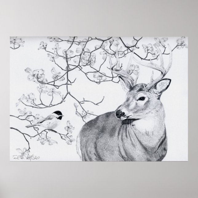 Póster Canción de Chickadee (Frente)