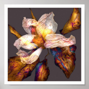 Póster Canción de la flor