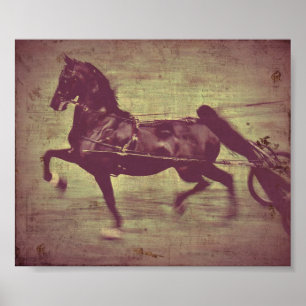 Póster Canción de Saddlebred