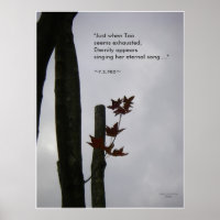 Canción eterna de la vida: Poster de Nature Zen/Ta
