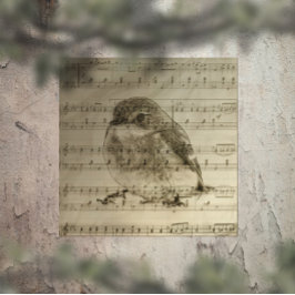 Póster Canciones de aves