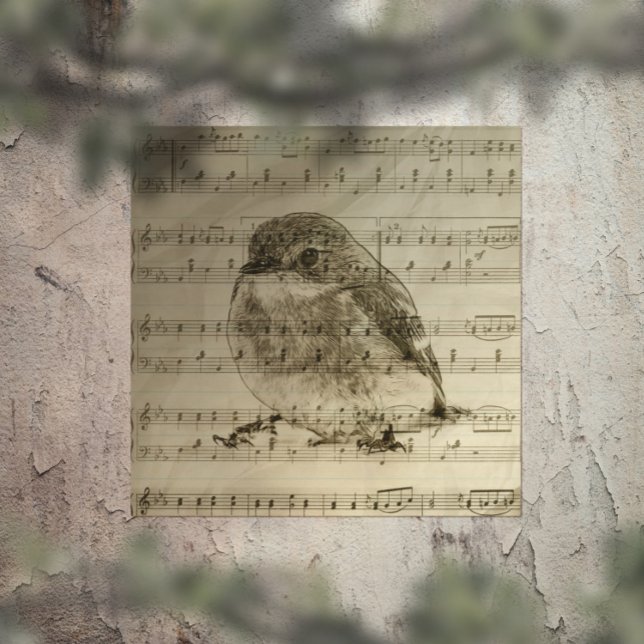Póster Canciones de aves (Subido por el creador)