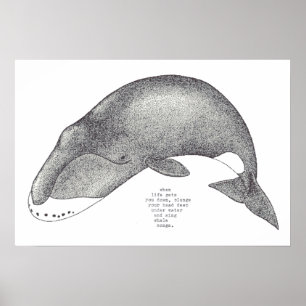 Póster canciones de la ballena