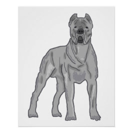 Póster Cane Corso