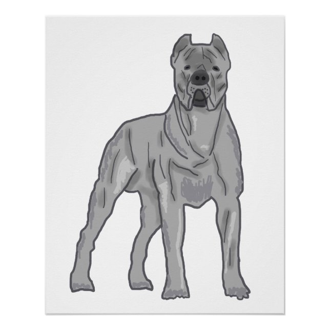 Póster Cane Corso (Anverso)