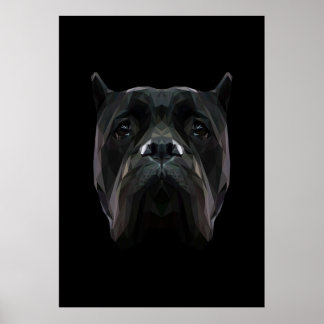 Póster Cane Corso dog