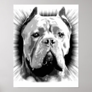Póster Cane Corso Dog