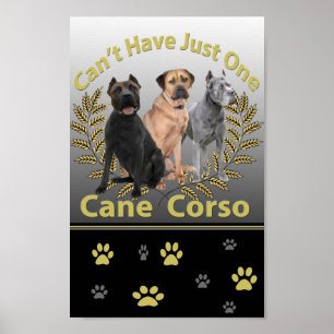 Póster Cane Corso no puede tener solo un Poster y unas im
