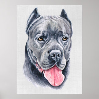 Póster Cane Corso Poster