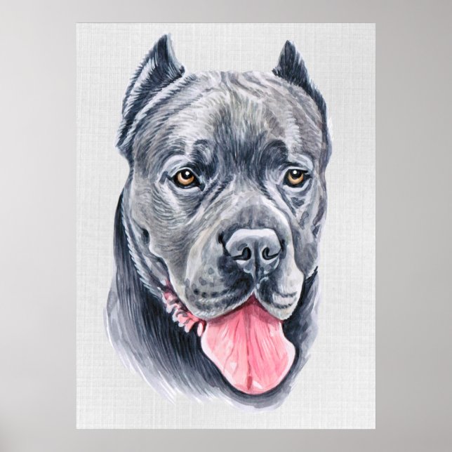 Póster Cane Corso Poster (Frente)