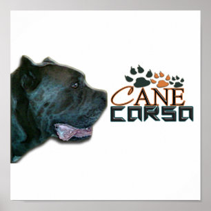 Póster Cane Corso Poster(P)