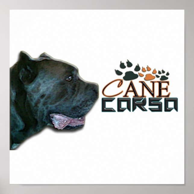 Póster Cane Corso Poster(P) (Frente)