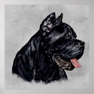 Póster Cane Corso - Retrato italiano de mastiff