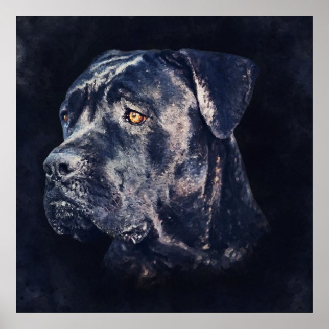 Póster Cane Corso - Retrato italiano de mastiff (Frente)