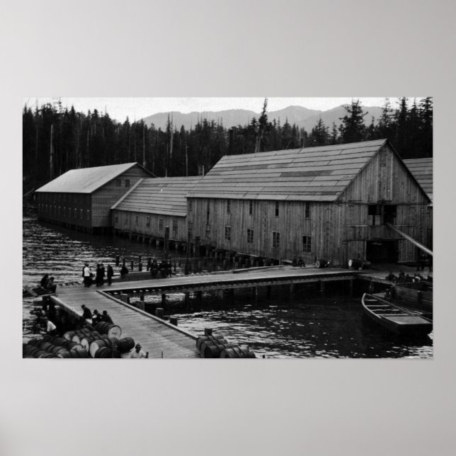 Póster Cañería Salmon cerca de Ketchikan, Alaska (Frente)