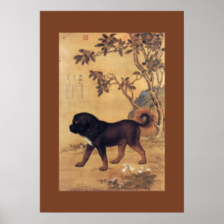 Póster Cangni 苍 猊 ~ Tibetano Mastiff ~ Giuseppe Castiglio