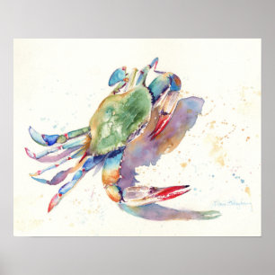 Póster Cangrejo acuarela