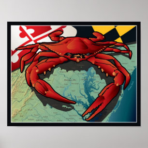 Póster Cangrejo ciudadano de Maryland