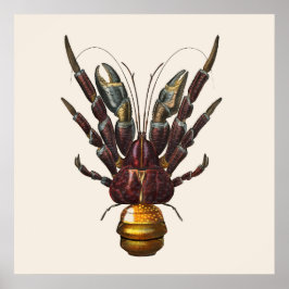 Póster Cangrejo de coco