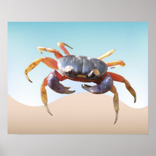Póster Cangrejo en la playa
