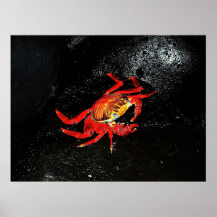 Póster Cangrejo ligero de Sally