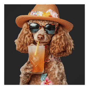 Póster Caniche