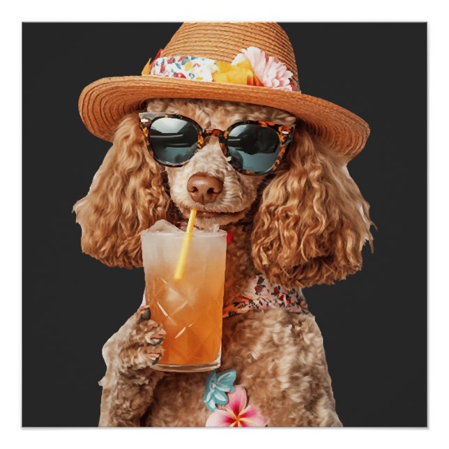 Póster Caniche (Anverso)