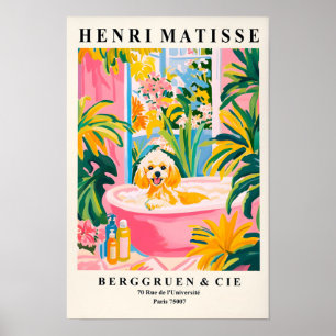 Póster Caniche de juguete en bañera, pared de baño rosa e