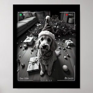 Póster Caniche de Navidad Captado por la Cámara