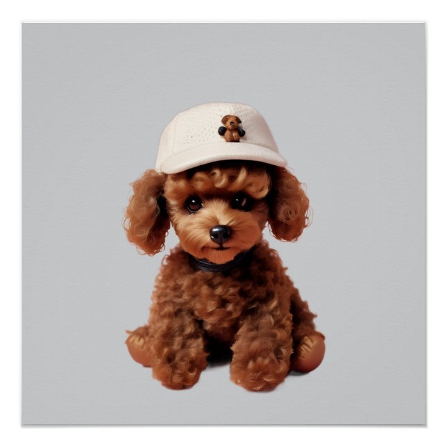 Póster Caniche en taza con sombrero (Anverso)