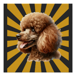 Póster Caniche estándar marrón Retro Sunburst
