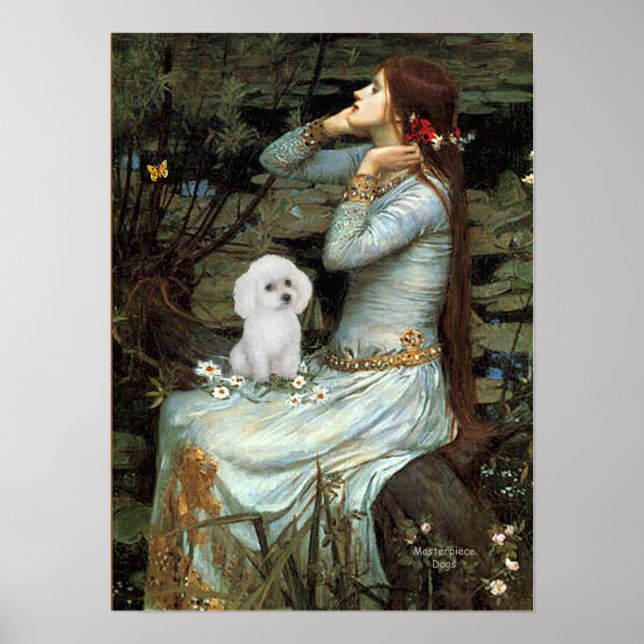 Póster Caniche (Juguete Blanco) - Ofelia Sentada (Frente)
