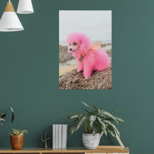 PÓSTER CANICHE JUGUETE ROSA EN LA PLAYA (Salón 1)
