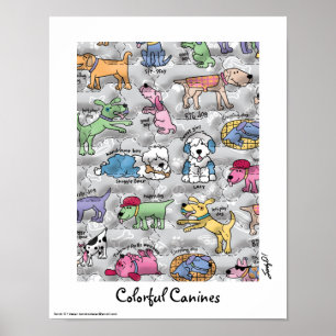 Póster Caninas de colores