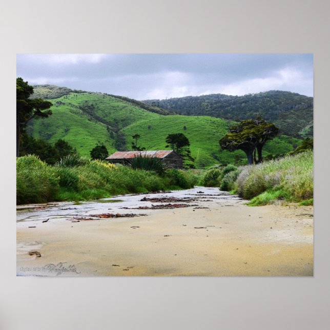 Póster Cannibal Bay : Caitlins : Poster de Nueva Zelanda (Frente)