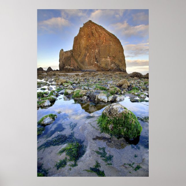 Póster Cannon Beach Haystack Rock Low Tide Oregon Poster (Frente)