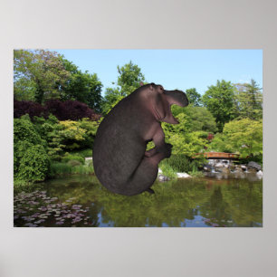 Póster Cannonball Hippo