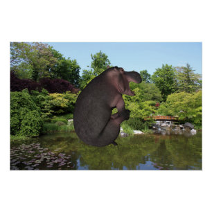 Póster Cannonball Hippo