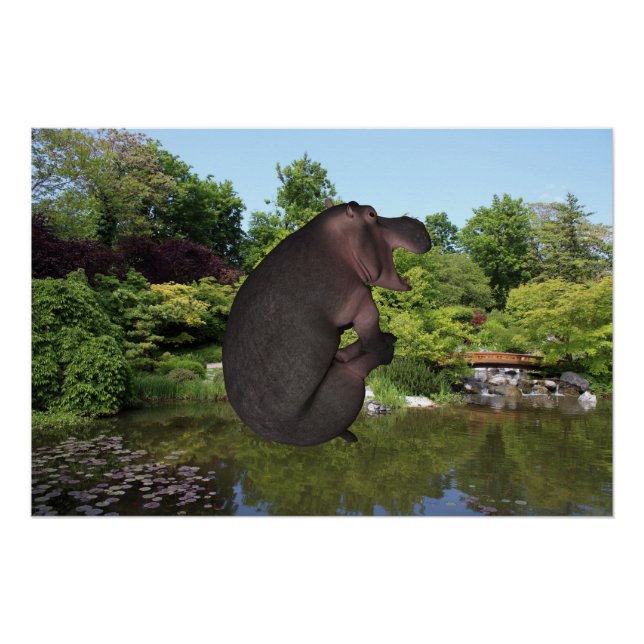 Póster Cannonball Hippo (Anverso)
